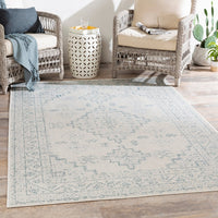 Indoor / Outdoor Updated Traditional Area Rug