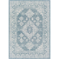 Indoor / Outdoor Updated Traditional Area Rug