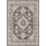 Indoor / Outdoor Updated Traditional Area Rug