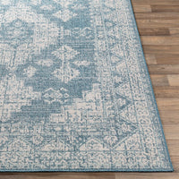 Indoor / Outdoor Updated Traditional Area Rug