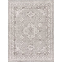 Indoor / Outdoor Updated Traditional Area Rug