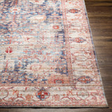 Traditional Vintage Machine Washable Area Soft Rug