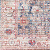 Traditional Vintage Machine Washable Area Soft Rug