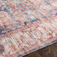Traditional Vintage Machine Washable Area Soft Rug