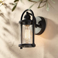 Avani 10 1/4" High Outdoor Wall Light