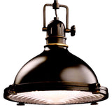 Kichler 12" Wide Fresnel Lens Mini Pendant