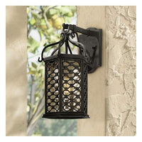 Los Olivos Collection 15 1/4" High Outdoor Wall Light