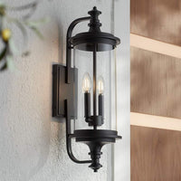 Medici 24 1/2" High Black Clear Glass 2-Light Outdoor Wall Light