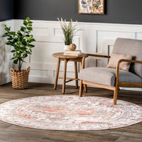 Banks Machine Washable Faded Vintage Area Rug