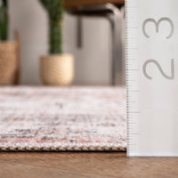 Banks Machine Washable Faded Vintage Area Rug