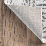 Bess Persian Vintage Machine Washable Area Rug