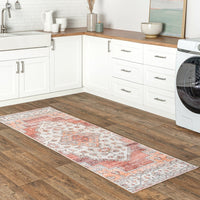 Dania Machine Washable Medallion Area Rug