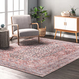 Darcey Machine Washable Traditional Floral Medallion Area Rug