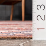 Persian Machine Washable Indoor/Outdoor Area Rug