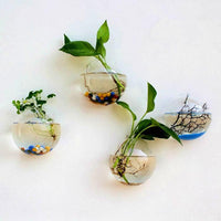 Hanging Flower Pot Glass Ball Vase