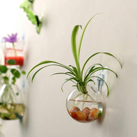 Hanging Flower Pot Glass Ball Vase
